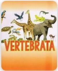 Image of VERTEBRATA